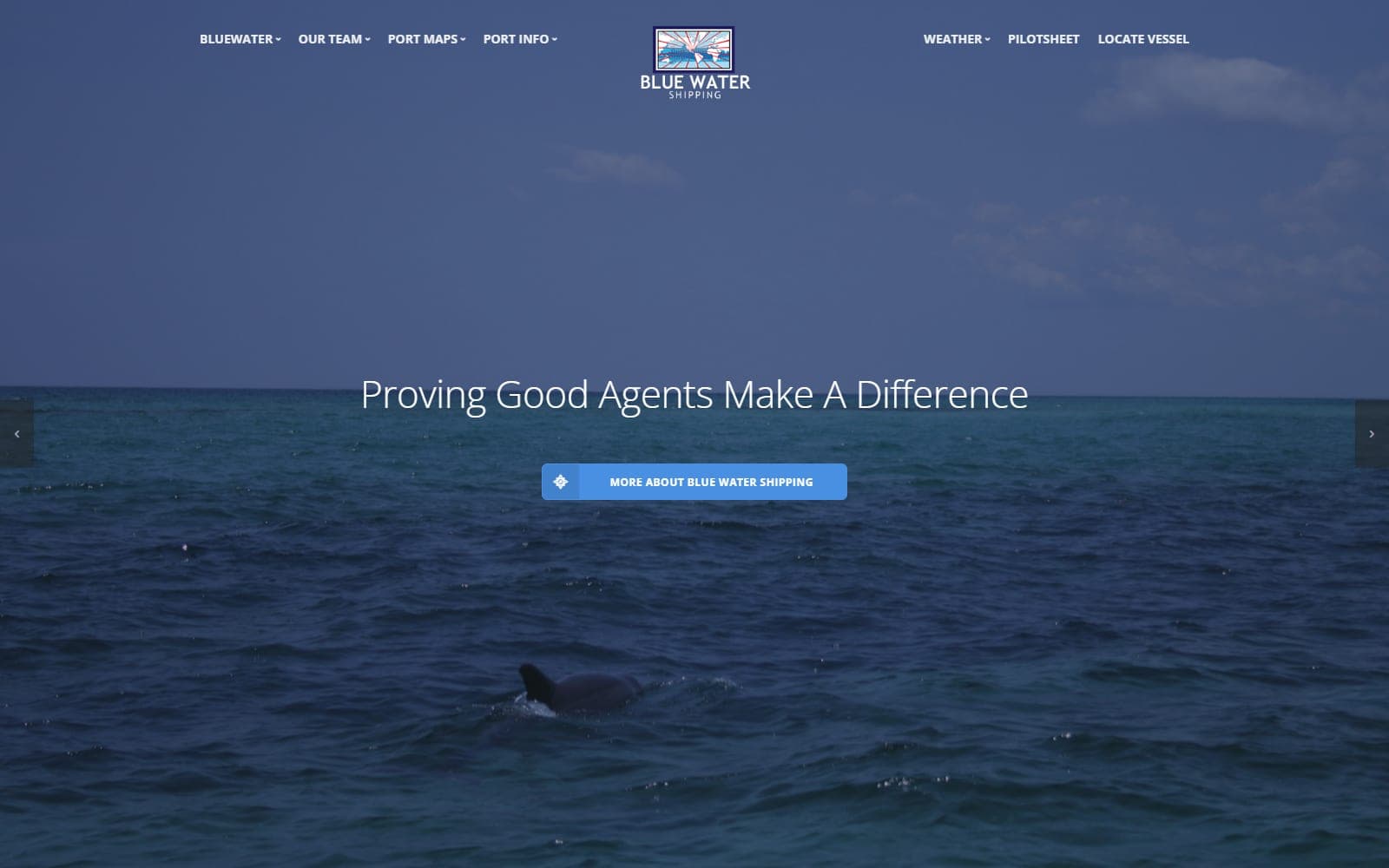 Blue Water Shipping website screenshot